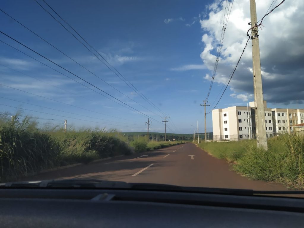 Morador reclama de mato às margens da Av. das Torres, no Floresta
