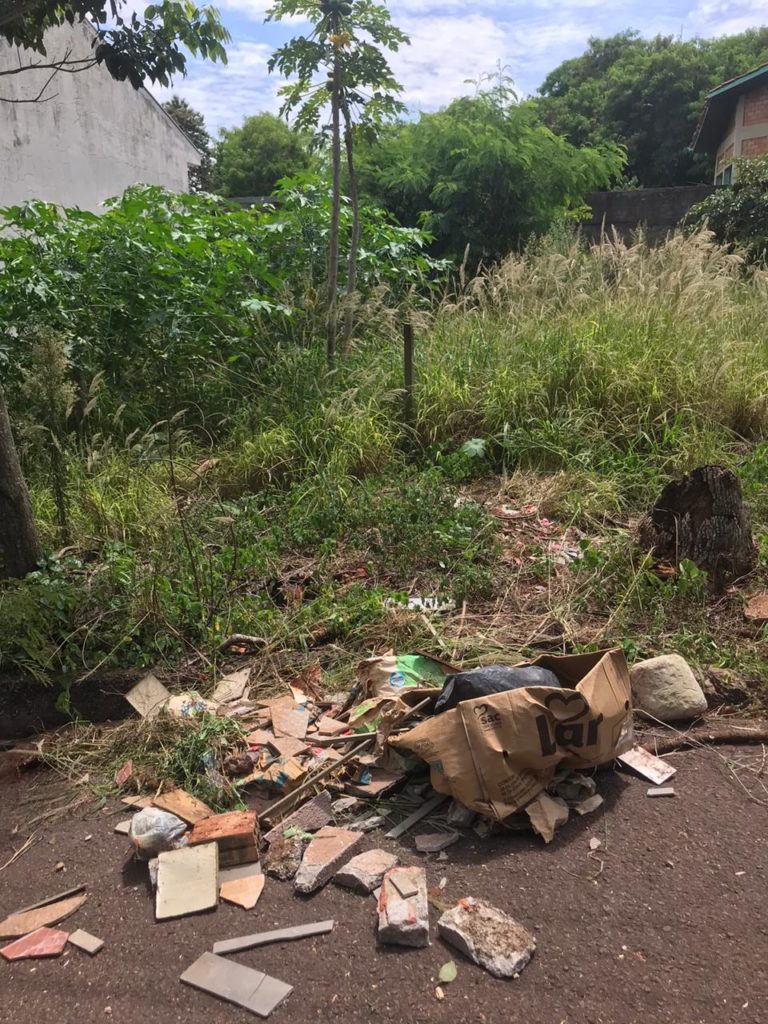 Moradora reclama de mato e sujeira em terreno no centro