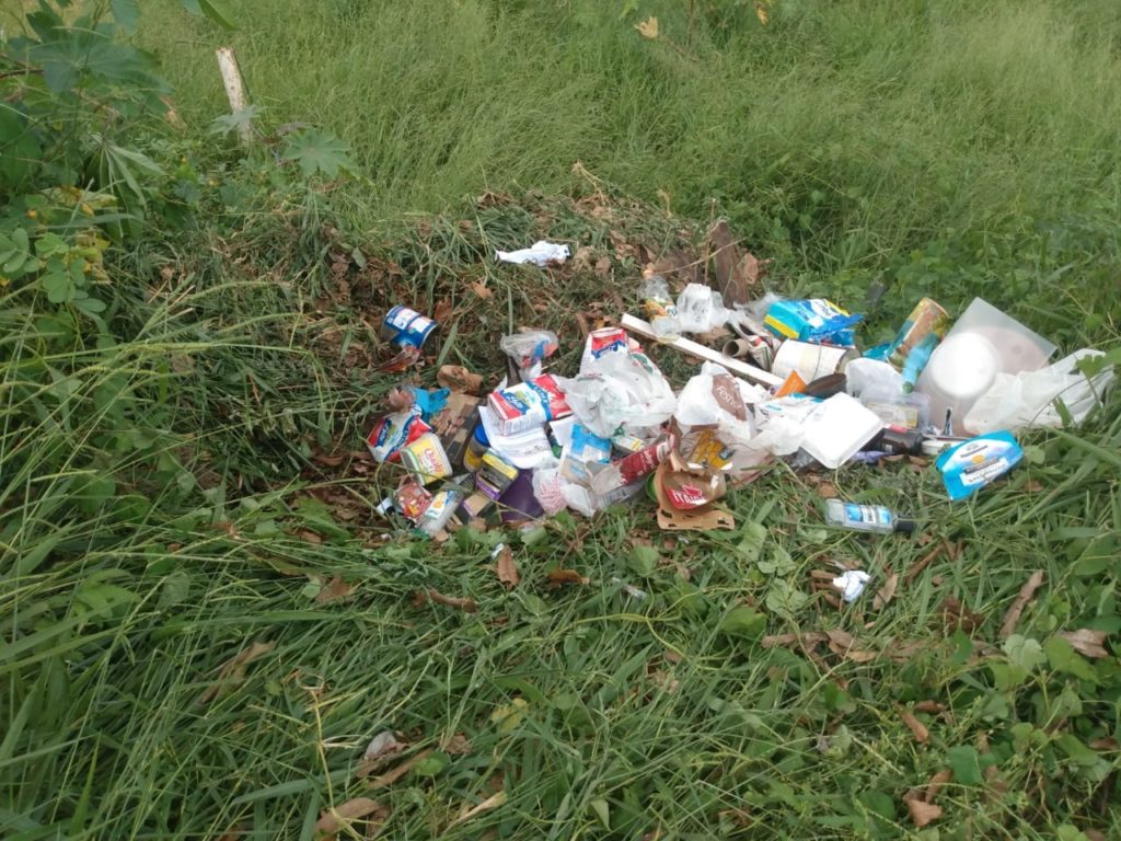 Descarte de lixo em área de vegetação é alvo de reclamação de vizinhos no Bairro Aclimação