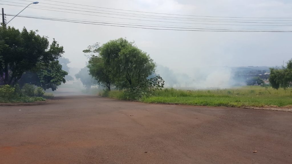 Incêndio ambiental atinge extensa área no Jardim Pinheiros e preocupa moradores