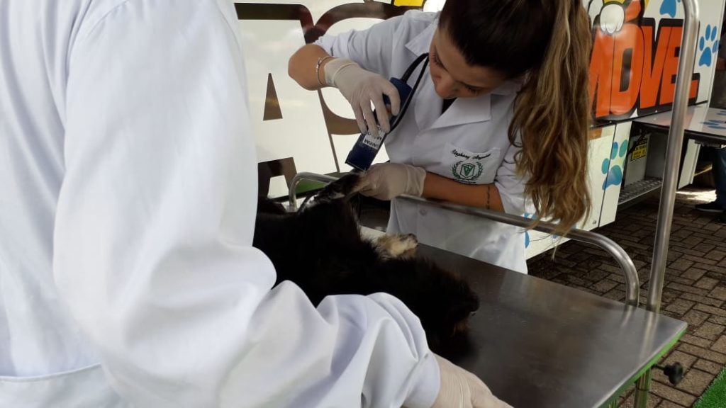 Castramóvel inicia trabalho de castração de animais