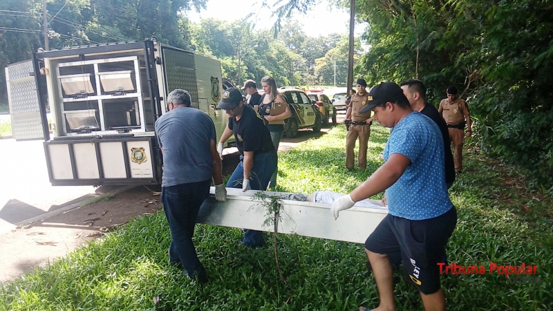Corpo em avançado estado de decomposição é encontrado em área de mata em Foz do Iguaçu Imagem referente a Corpo em avançado estado de decomposição é encontrado em área de mata em Foz do Iguaçu