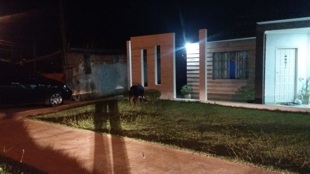 Moradora do Bairro Morumbi procura dono de cão da raça Rottweiler