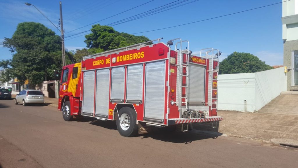 Bombeiros realizam corte de árvore no Parque São Paulo