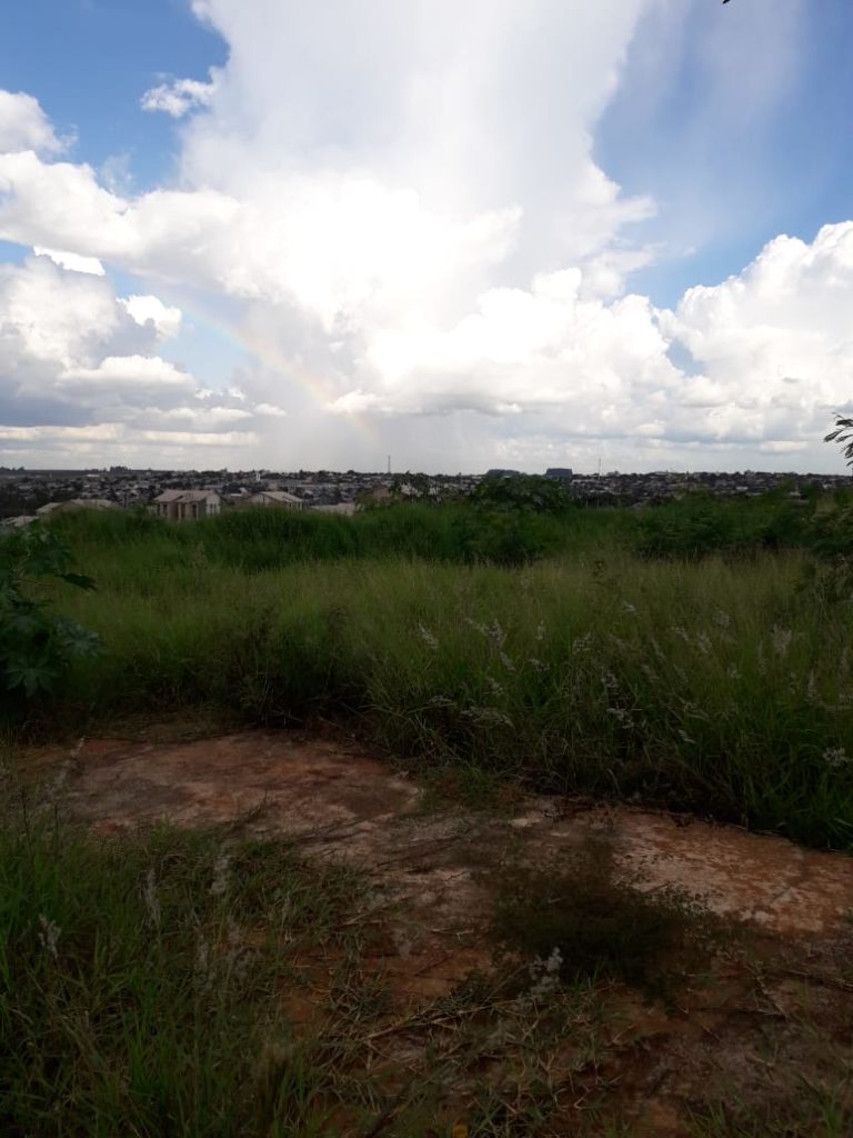 Mato alto é alvo de reclamação de morador do Loteamento Gralha Azul