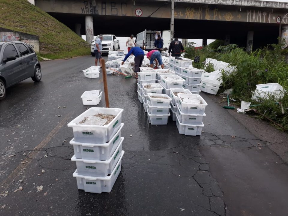 Tampa de caminhão abre e caixas de camarão ficam espalhadas por rua no Cajuru