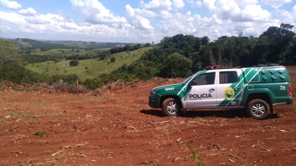 Polícia Ambiental localiza corte de 1,21 hectares de vegetação nativa sem autorização, em Bela Vista da Caroba