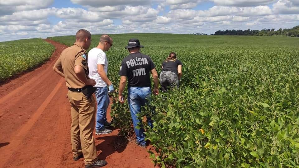 Imagem referente a Pai encontra filho de 13 anos morto no meio de plantação