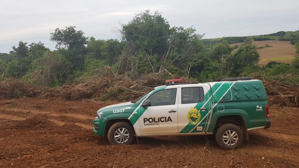 PM Ambiental constata destruição em área de Mata Atlântica e multa proprietário em R$ 26,5 mil em Catanduvas