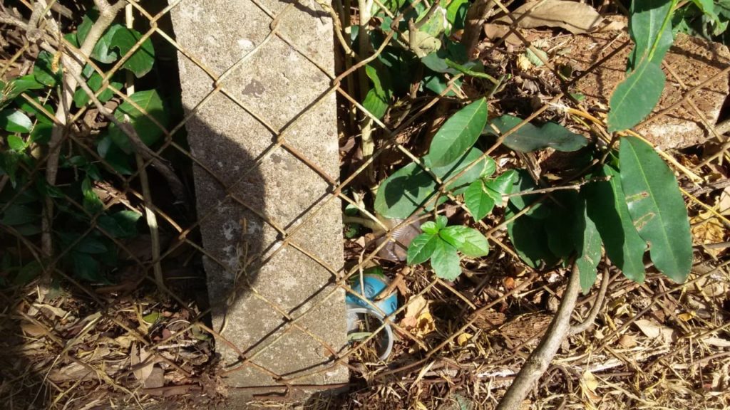 Descarte irregular de lixo em torno do pátio da Cettrans é alvo de reclamação
