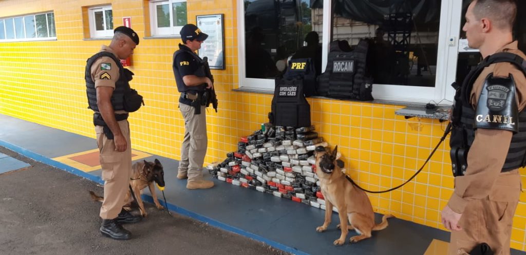 Com ajuda de cães, PRF e PM descobrem 158 quilos de cocaína em estepes de carreta no Paraná