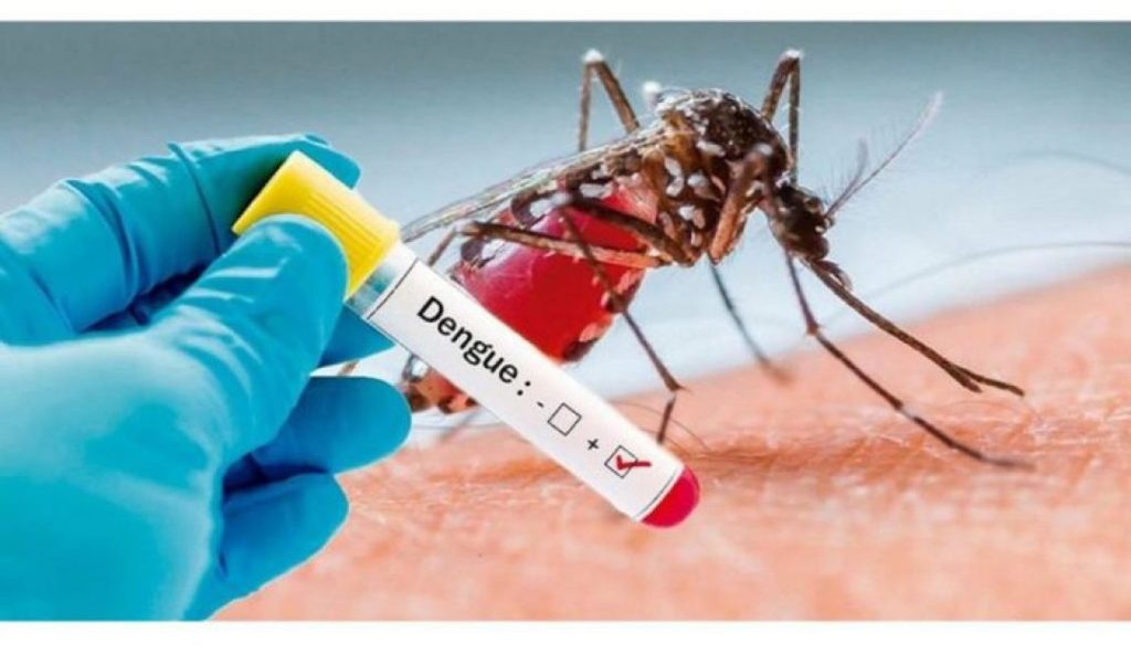 Governo apresenta plano de combate à dengue ao Ministério da Saúde