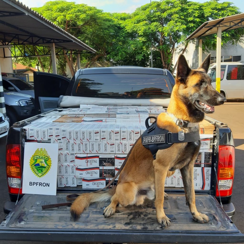 BPFron apreende Hilux carregada com quase 2 mil pacotes de cigarros; veículo tinha queixa de roubo