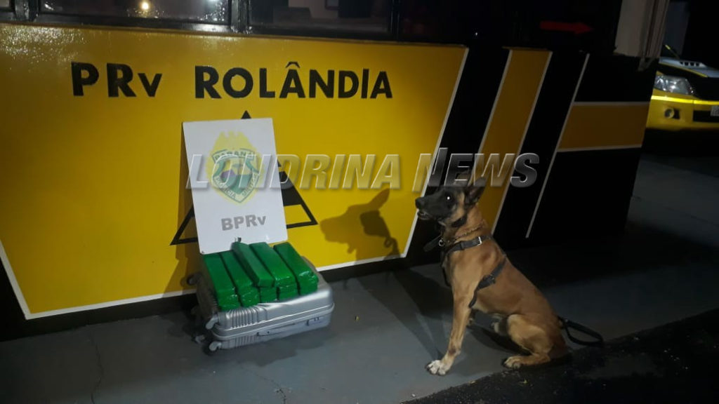 PRE realiza apreensão de drogas durante abordagem a ônibus em Rolândia
