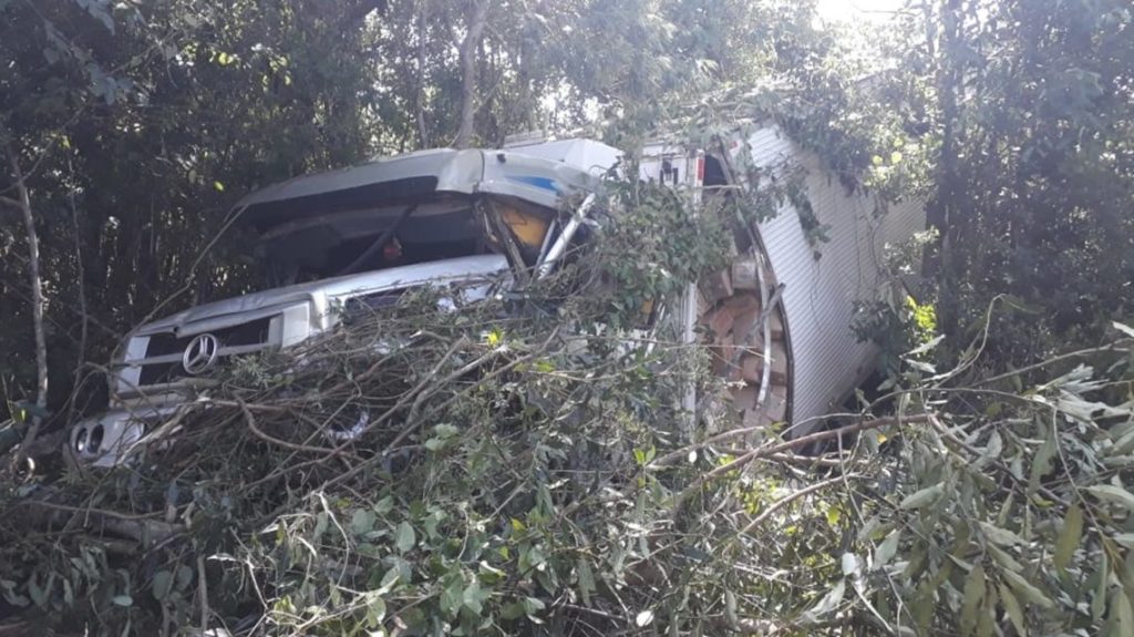 Caminhão carregado com queijo perde freios e colide contra árvores às margens da PR-158, em Chopinzinho