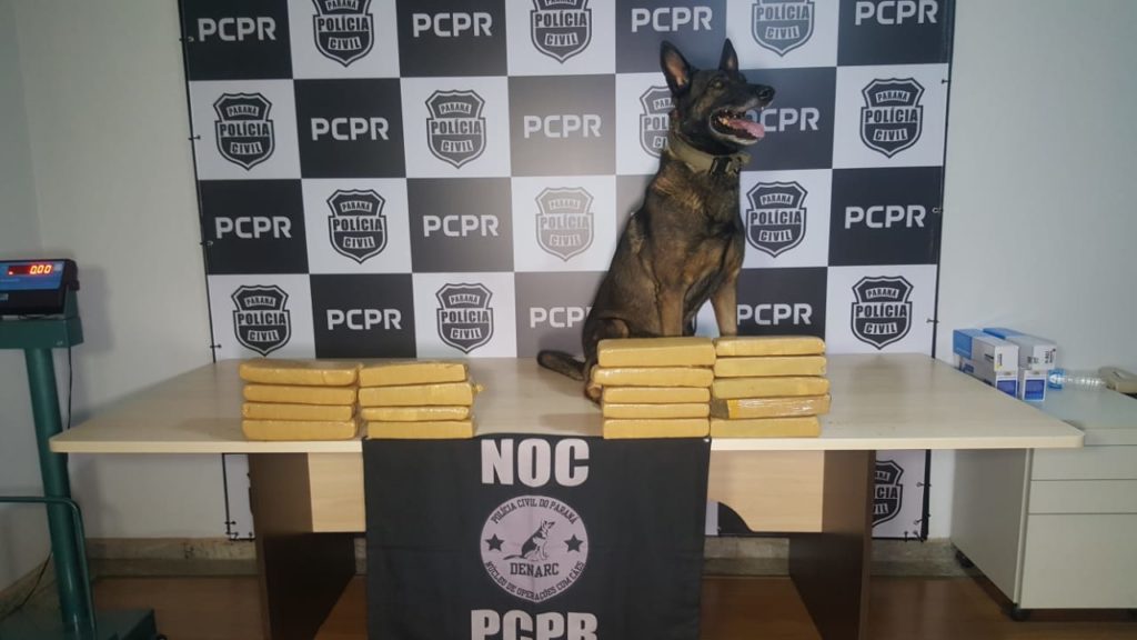 Suspeito de tráfico, casal é preso com maconha durante ação do Núcleo de Operações com Cães da DENARC
