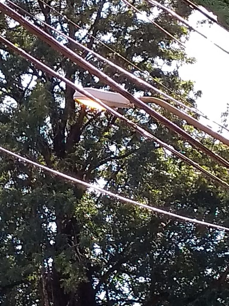 Internauta reclama de lâmpada de poste que fica ligada 24 horas Internauta reclama de lâmpada de poste que fica ligada 24 horas