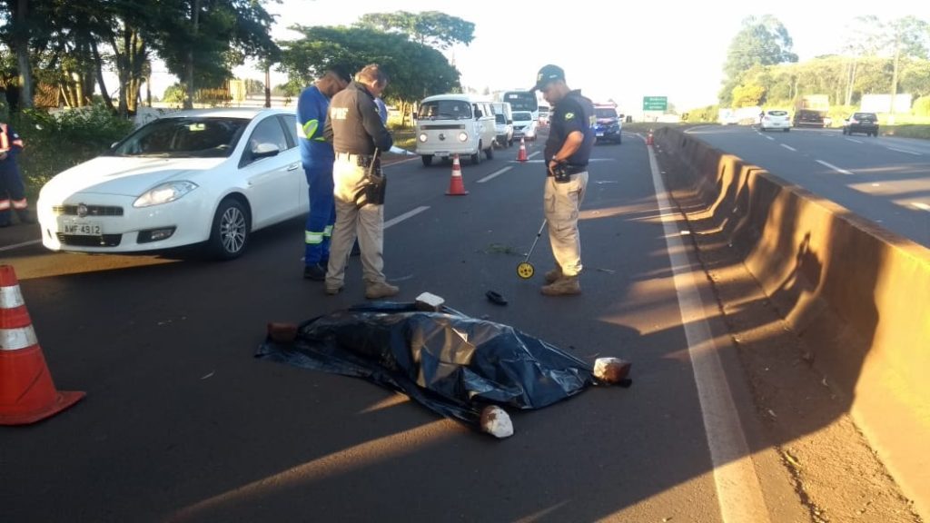 Mulher morre atropelada por ambulância na BR-369, na região de Arapongas