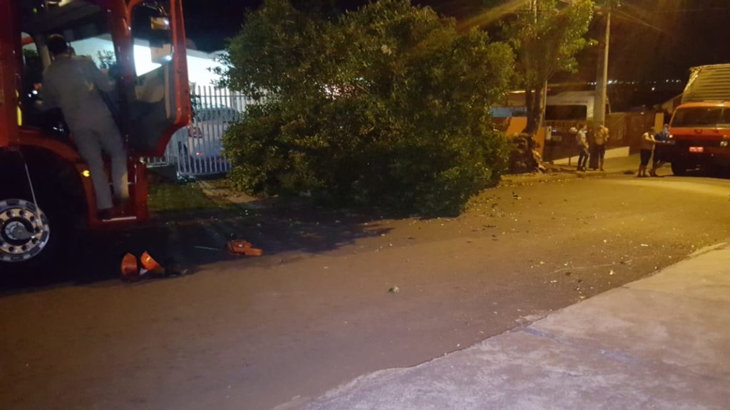 Caminhão colide contra árvore e Bombeiros são chamados para fazerem poda dos galhos, no Nova Cidade