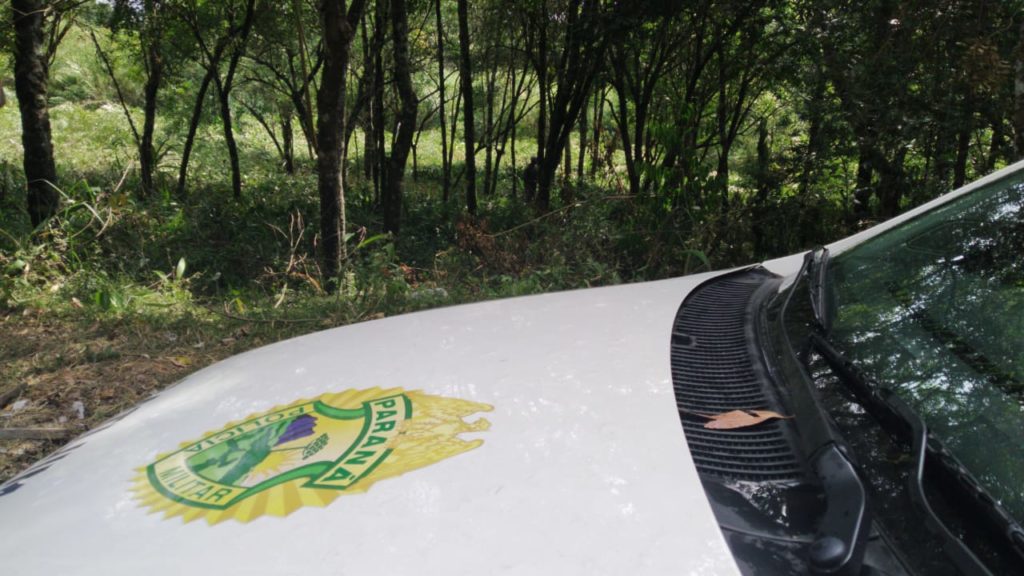 Corpo é encontrado em terreno baldio próximo ao Zoológico Municipal de Curitiba