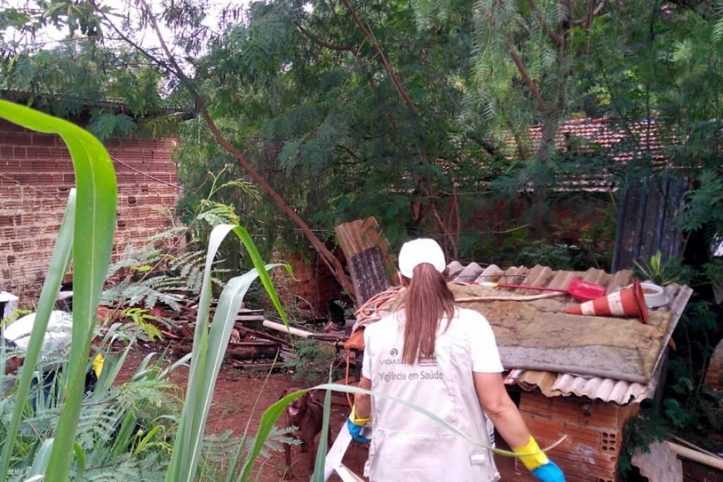 Epidemia de dengue atinge mais da metade das cidades do Estado