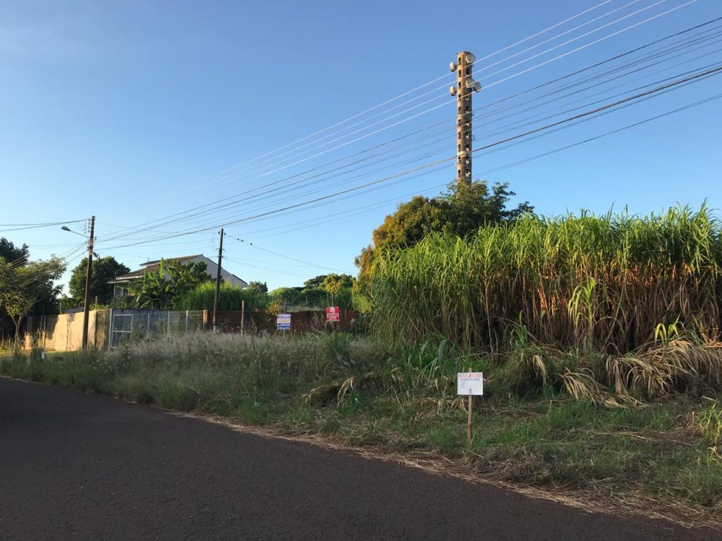 Terreno com mato alto gera reclamação na Rua Voluntários da Pátria, no Bairro Canadá