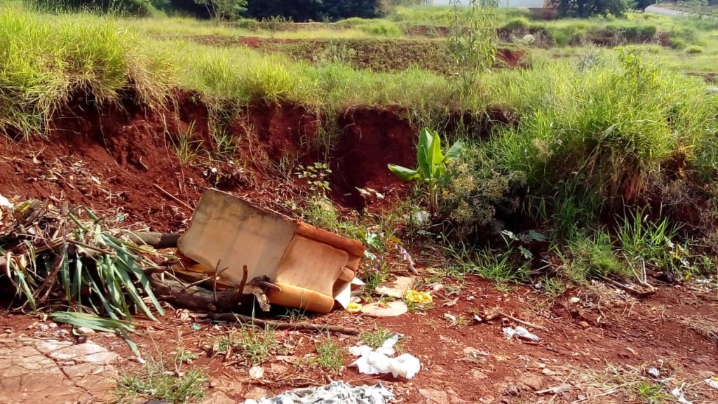 Mato alto e Dengue: moradores reclamam de terrenos baldios em Braganey