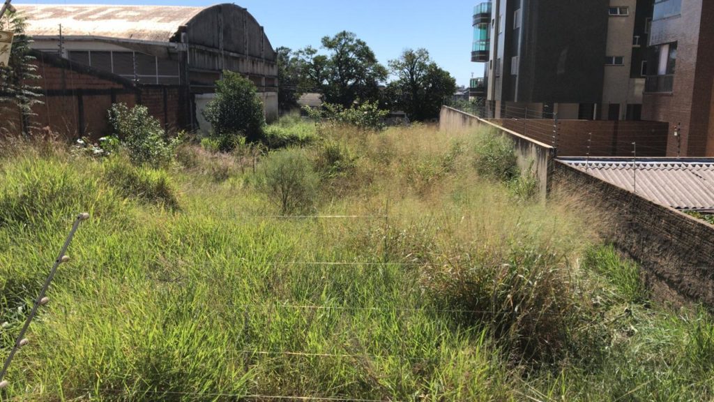 Falta de manutenção em terreno tem causado transtornos na Região do Lago