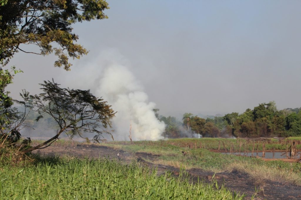 Incêndio de grandes proporções é registrado entre Santa Helena e Diamante do Oeste