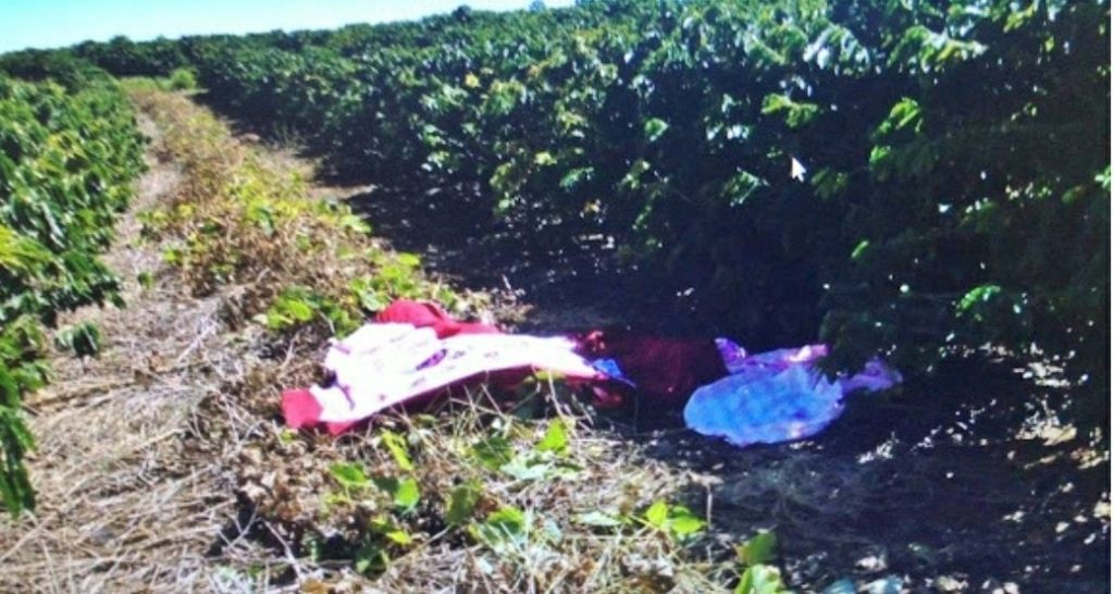 Filho agride a mãe até a morte, é preso em flagrante e tira a própria vida na cadeia em Ivaiporã
