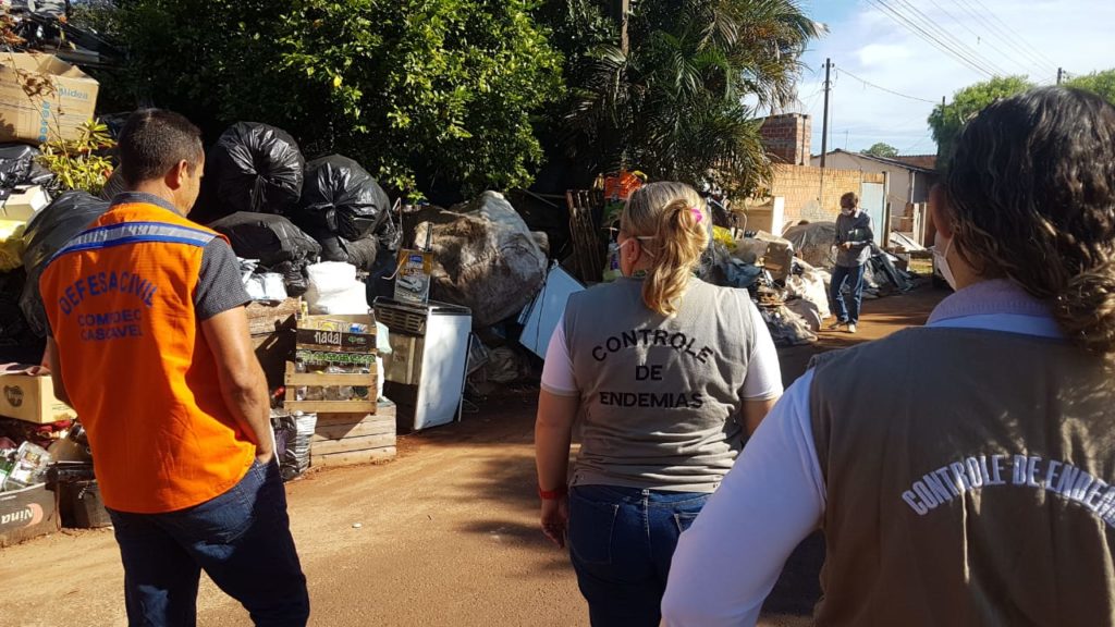 Em três meses Cascavel registra 53 casos de Dengue