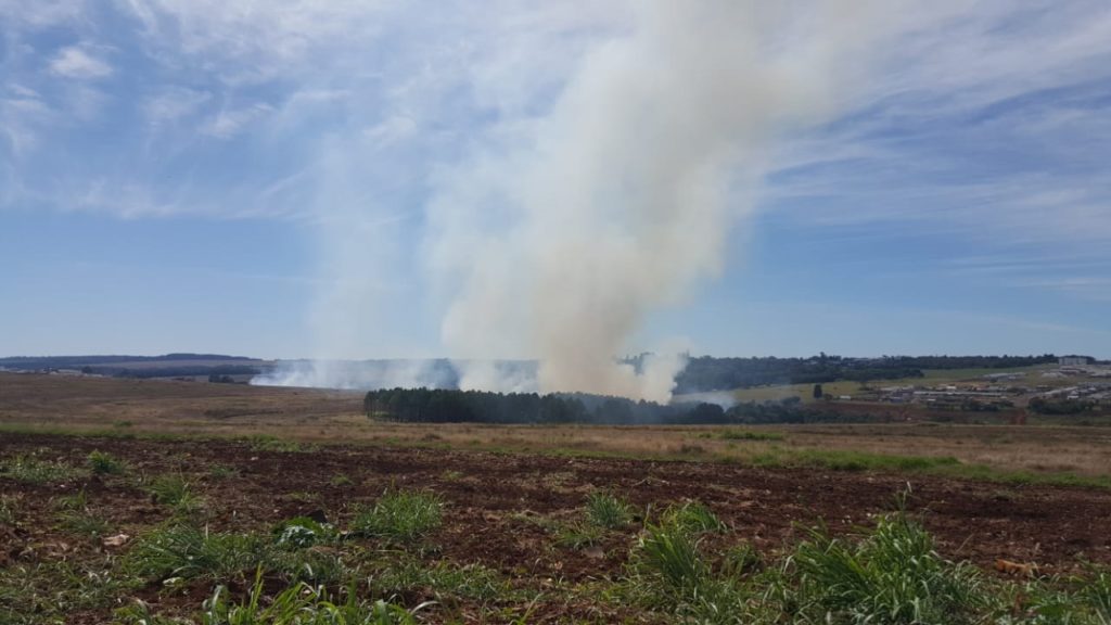 Incêndio de grandes proporções atinge área de vegetação na região do Loteamento Florais do Paraná