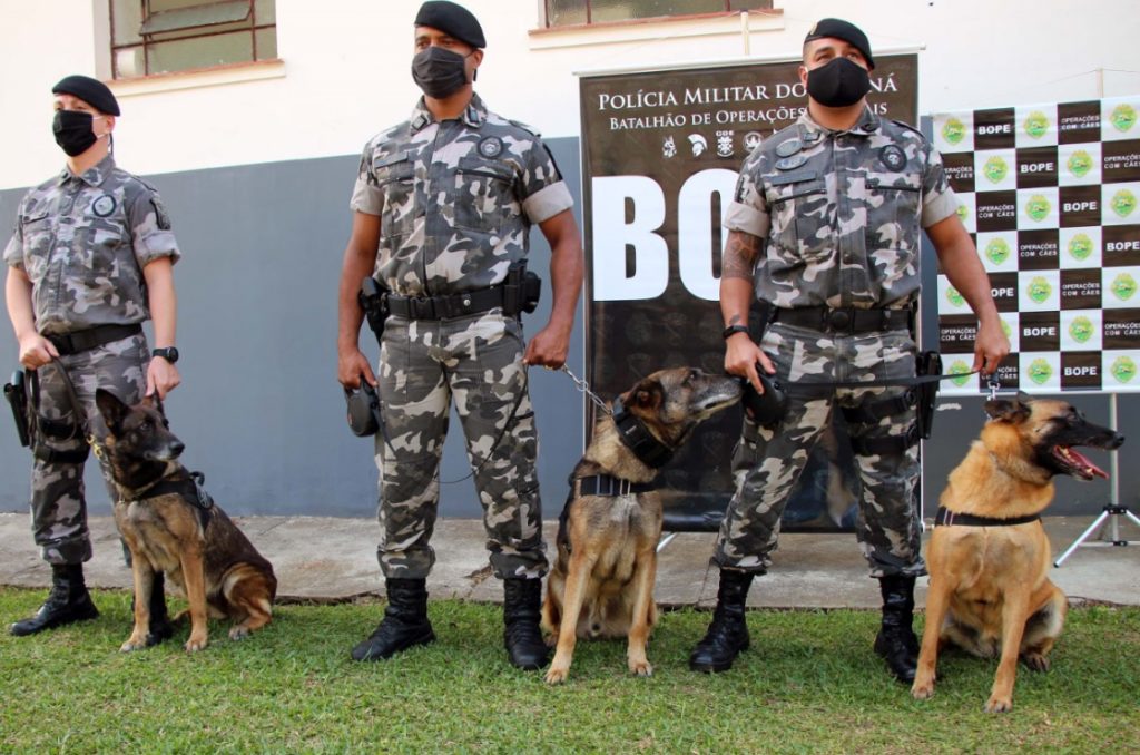Cães do Bope se aposentam após 9 anos de atuação