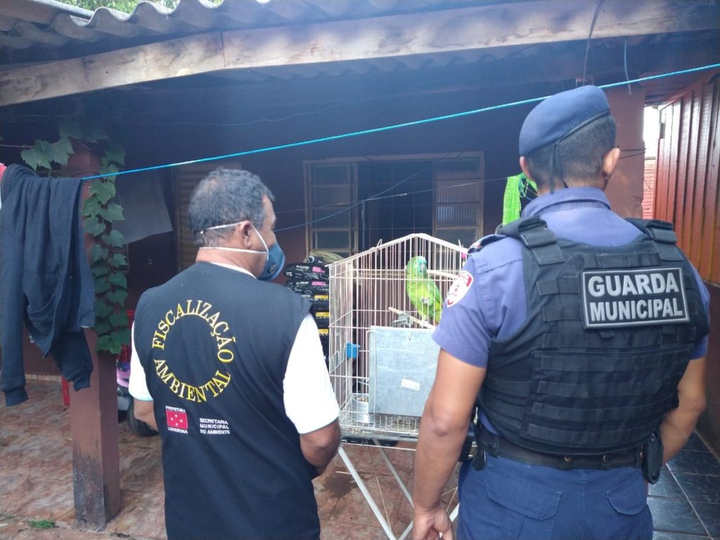 Denúncia de maus tratos a animais leva forças de segurança até imóvel em Londrina