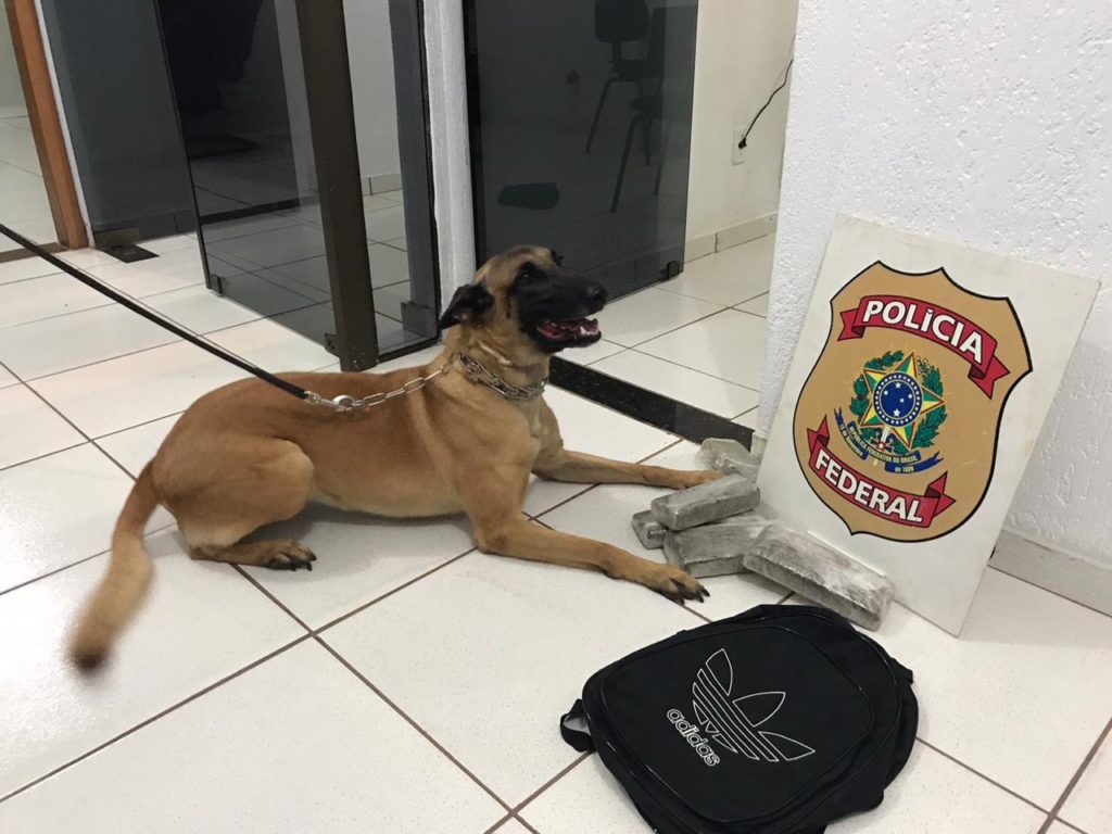 Polícia Federal prende homem em flagrante por tráfico de drogas na BR-277