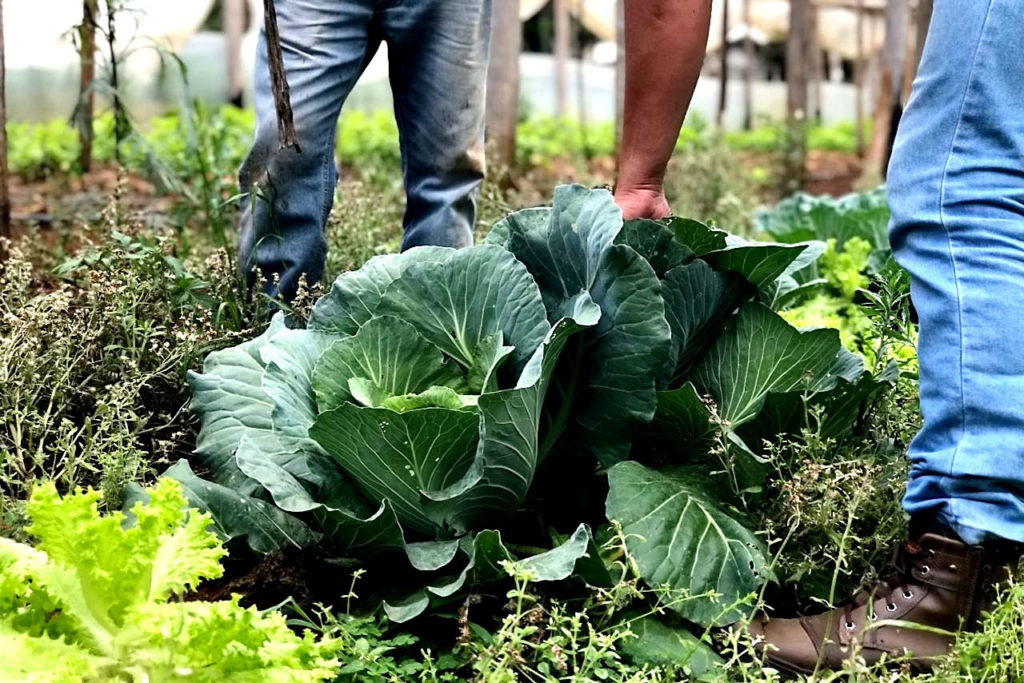 Governo repassa R$ 72,9 milhões a estados para a agricultura familiar