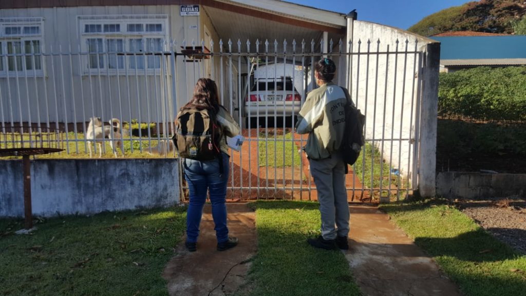 Com mais de 6,1 mil casos, combate à dengue deve ser incorporado na rotina dos cascavelenses