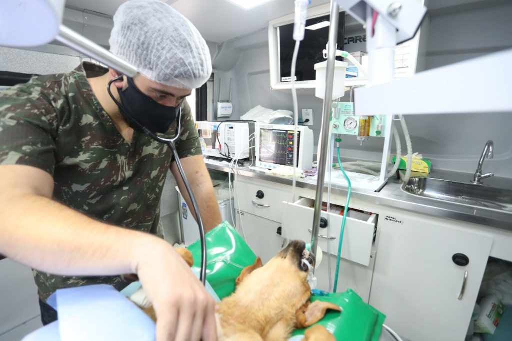 Castramóvel atende animais resgatados por protetores e ONGs