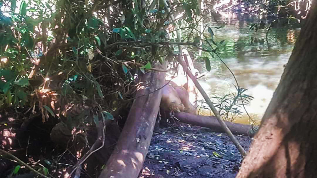Corpo encontrado em março com as mãos amarradas e com marcas de tiros segue sem identificação no IML de Londrina