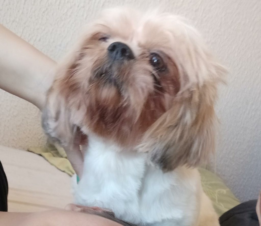 Bob está perdido no Conjunto Riviera