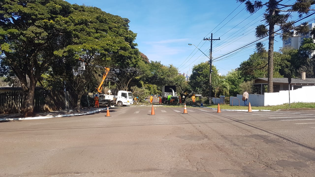 Trecho Da Rua Da Bandeira Está Interditado Para A Poda De árvores Cgn O Maior Portal De 4582