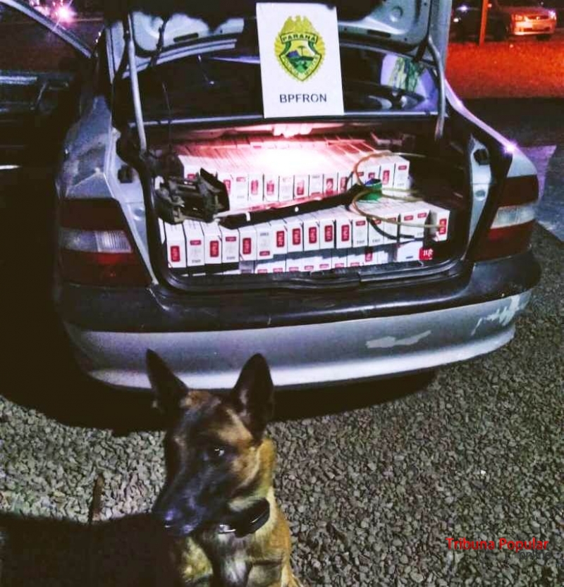BPFron apreende 300 pacotes de cigarros contrabandeados em Marechal Cândido Rondon Imagem referente a BPFron apreende 300 pacotes de cigarros contrabandeados em Marechal Cândido Rondon
