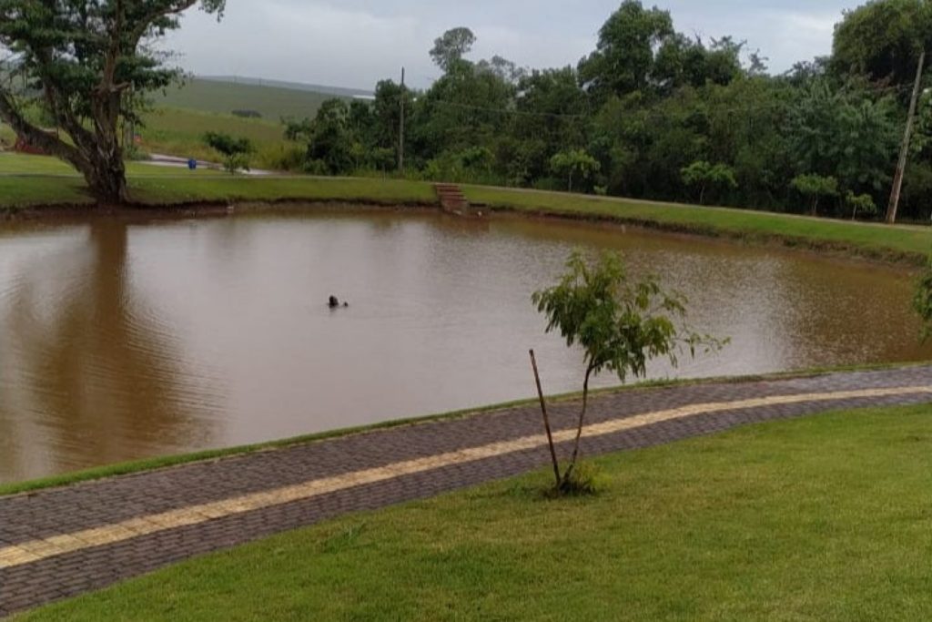 Condutora perde controle e carro vai parar dentro do Lago Municipal de São Miguel do Iguaçu