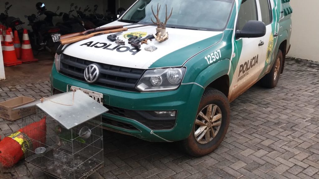 PM Ambiental apreende armas e munições e resgata animais mantidos em cativeiro em São João; quatro foram presos