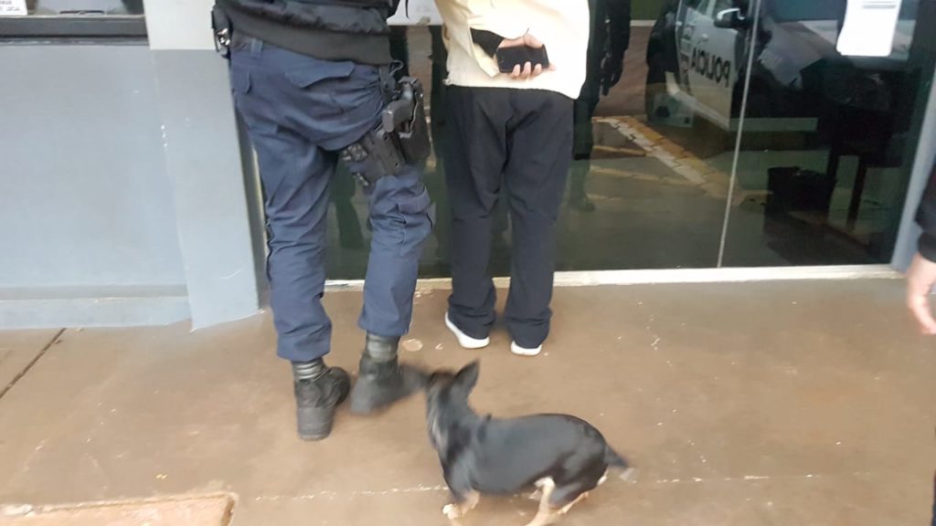 Cachorro de estimação acompanha o dono à Delegacia, após detenção da GM