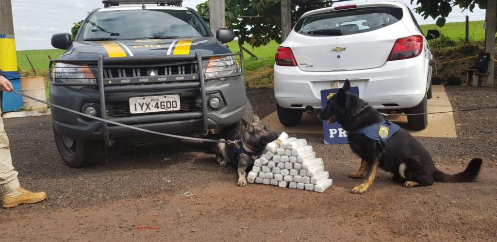 Motorista é flagrado transportando pasta base de cocaína na BR-277