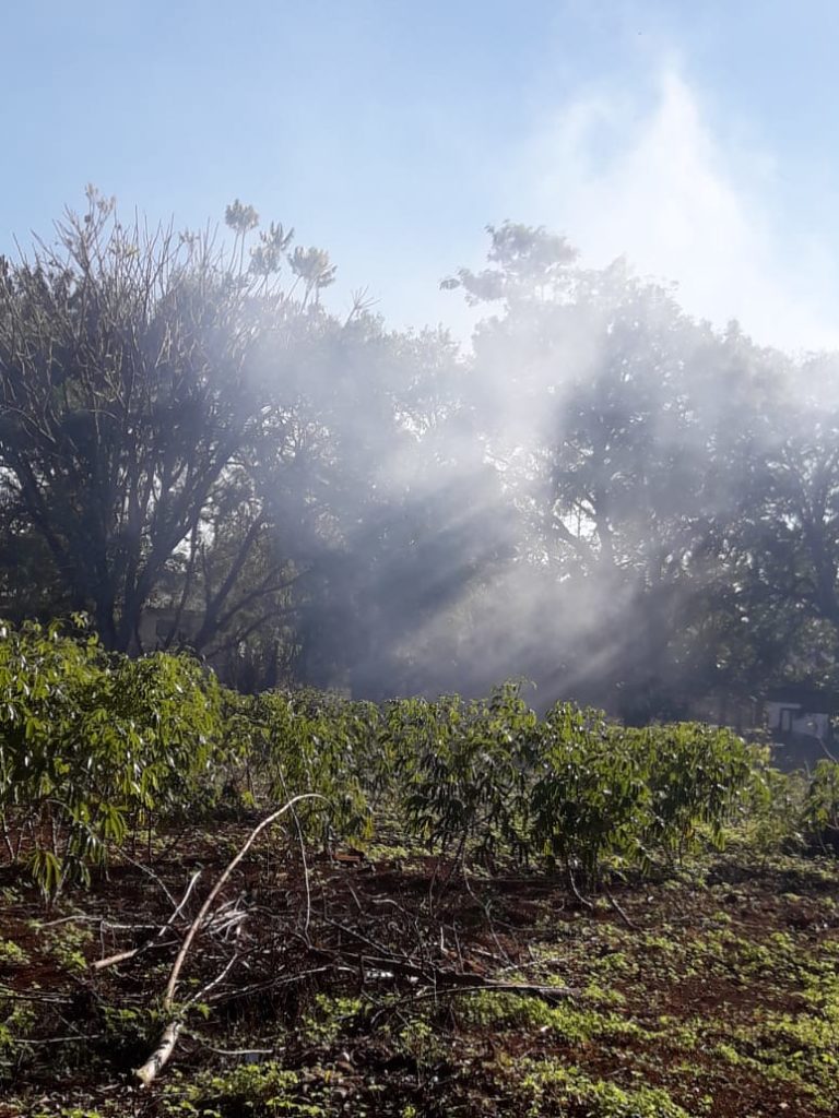 Moradora reclama de fumaça e queimada na Rua Rio da Paz Moradora reclama de fumaça e queimada na Rua Rio da Paz