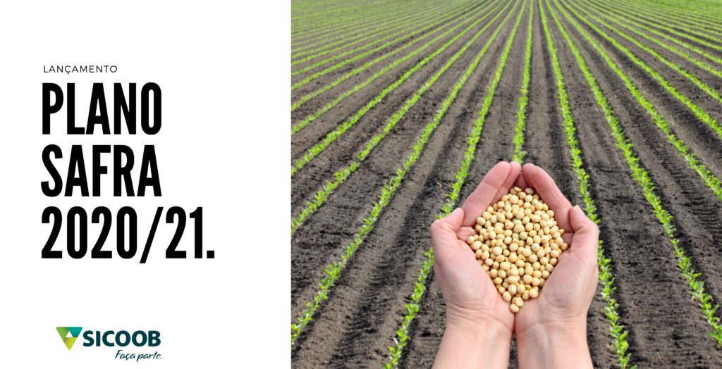 Sicoob Credicapital se prepara para atender produtores rurais no Plano Safra 2020/2021
