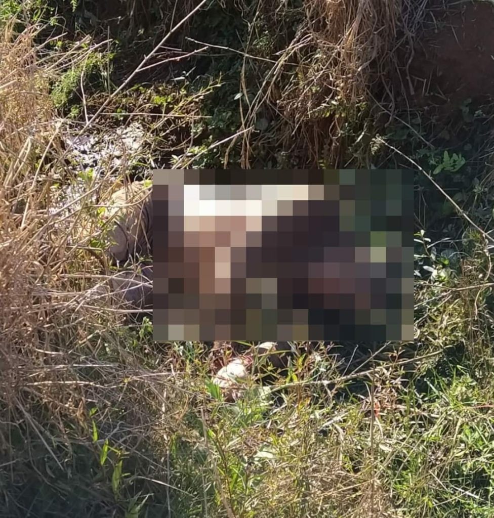 Polícia procura por adolescentes suspeitas de envolvimento na morte de servidor público em Londrina