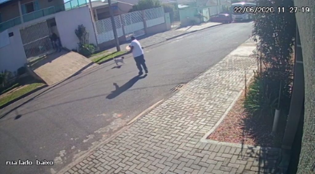 Cabo da PM se defende, diz que já havia sido atacado por cachorro e que vídeo foi editado